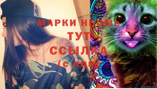 PSILOCYBIN Алзамай